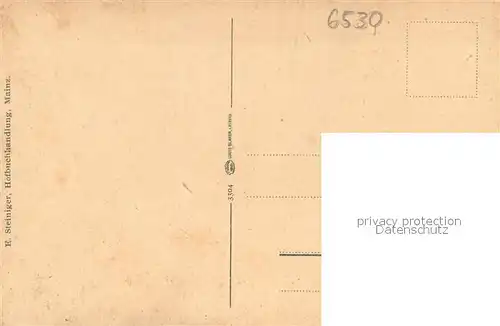 AK / Ansichtskarte Bingen_Rhein Drususbruecke Bingen Rhein