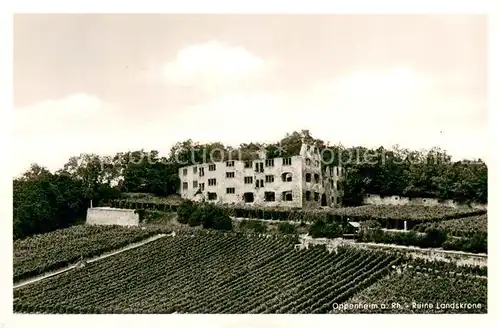 AK / Ansichtskarte Oppenheim Ruine Landskrone Oppenheim