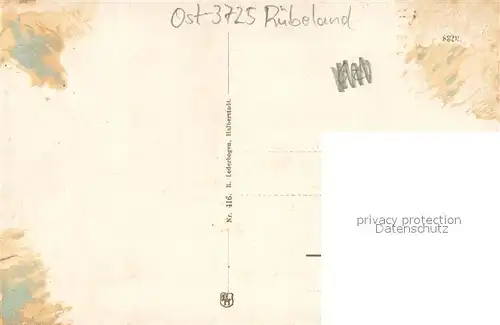 AK / Ansichtskarte Ruebeland_Harz Panorama Ruebeland_Harz