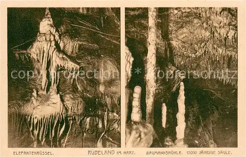 AK / Ansichtskarte Ruebeland_Harz Baumannshoehle 12000jaehrige Saeule Elefantenruessel Ruebeland_Harz