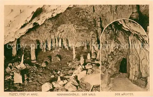 AK / Ansichtskarte Ruebeland_Harz Hermannshoehle Grotte Wald Waechter Ruebeland_Harz