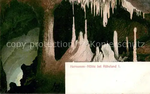 AK / Ansichtskarte Ruebeland_Harz Hermannshoehle Grotte Harz Zahnrad Bahn Blankenburg Ruebeland Tanne Offizielle Ansichtskarte Nr. 8 Ruebeland_Harz