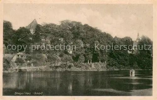 AK / Ansichtskarte Stiege Blick ueber den See zum Schloss Stiege