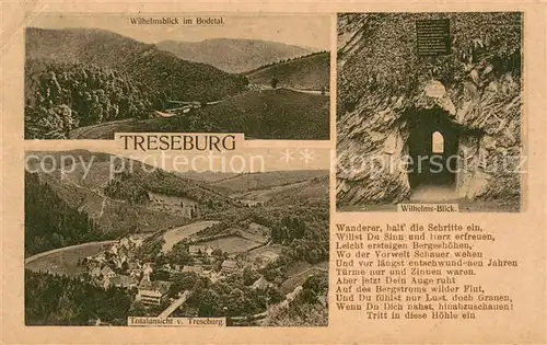 AK / Ansichtskarte Treseburg_Harz Panorama Wilhelmsblick Bodetal Treseburg Harz