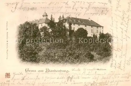 AK / Ansichtskarte Blankenburg_Harz Schloss Deutsche Reichspost Blankenburg_Harz