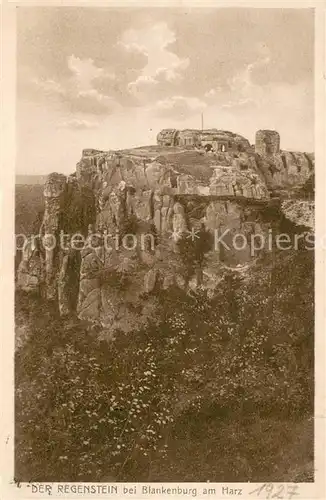 AK / Ansichtskarte Blankenburg_Harz Burg  und Festungsruine Regenstein Blankenburg_Harz