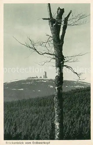 AK / Ansichtskarte Wernigerode_Harz Brockenblick vom Erdbeerkopf Offizielle Ansichtskarte Wernigerode Harz