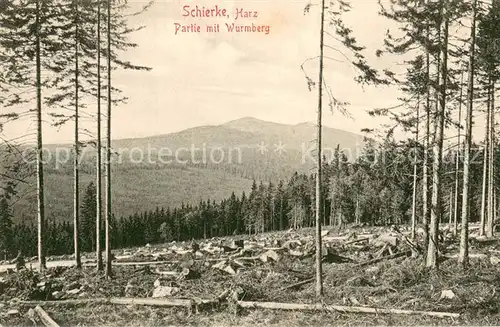 AK / Ansichtskarte Schierke_Harz Waldpartie mit Blick zum Wurmberg Schierke Harz