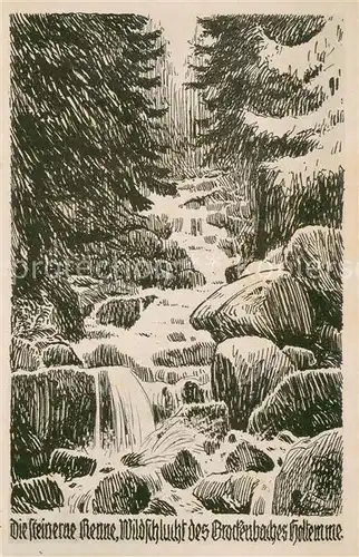 AK / Ansichtskarte Hasserode Steinerne Renne Wildschlucht des Brockenbaches Holtemme Bergwart Karte 14 Reihe C Der Brocken Engelhardt Kyffhaeuser Kuenstlerkarte Hasserode
