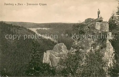 AK / Ansichtskarte Ilsenburg_Harz Paternosterklippe Harzklippen Felsen Landschaftspanorama Ilsenburg Harz