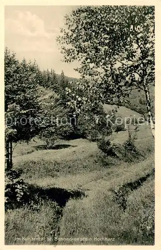 AK / Ansichtskarte Benneckenstein_Harz Partie im Kunzental Natur Benneckenstein_Harz