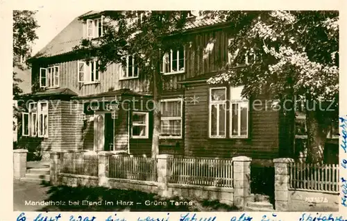 AK / Ansichtskarte Mandelholz_Harz Hotel Gaststaette Gruene Tanne Mandelholz Harz