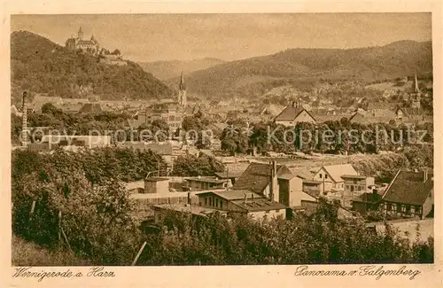 AK / Ansichtskarte Wernigerode_Harz Panorama vom Galgenberg Blick zum Schloss Kupfertiefdruck Wernigerode Harz