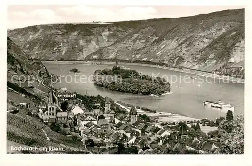 AK / Ansichtskarte Bacharach_Rhein Panorama Rheininsel Bacharach Rhein