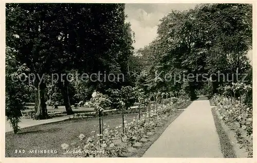 AK / Ansichtskarte Bad_Meinberg Kurpark Rosenweg Bad_Meinberg