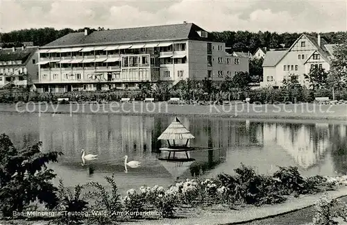 AK / Ansichtskarte Bad_Meinberg Am Kurparkteich Bad_Meinberg