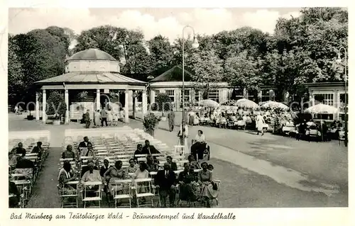 AK / Ansichtskarte Bad_Meinberg Brunnentempel und Wandelhalle Bad_Meinberg