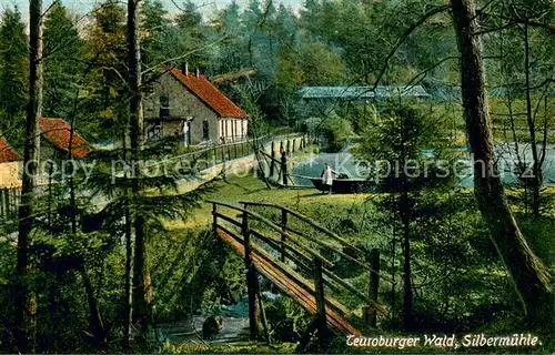 AK / Ansichtskarte Teutoburgerwald Silbermuehle Teutoburgerwald