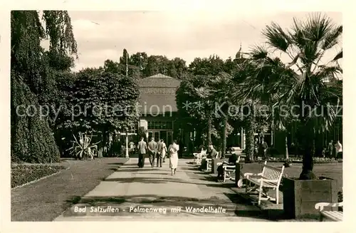 AK / Ansichtskarte Bad_Salzuflen Palmenweg mit Wandelhalle Bad_Salzuflen