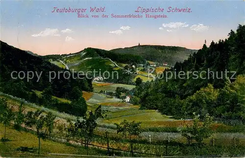 AK / Ansichtskarte Berlebeck Blick von der Sommerfrische Hangstein Berlebeck