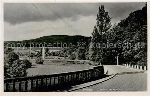 AK / Ansichtskarte Detmold Strasse nach Hiddesen Detmold