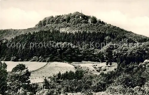 AK / Ansichtskarte Bad_Driburg Panorama mit Iburg Bad_Driburg