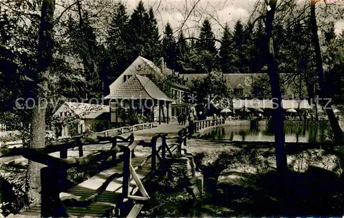 AK / Ansichtskarte Leopoldstal_Lippe Waldhotel Pension Silbermuehle Teutoburger Wald Leopoldstal_Lippe