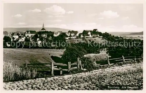 AK / Ansichtskarte Blomberg_Lippe Panorama alte Bergstadt Blomberg Lippe