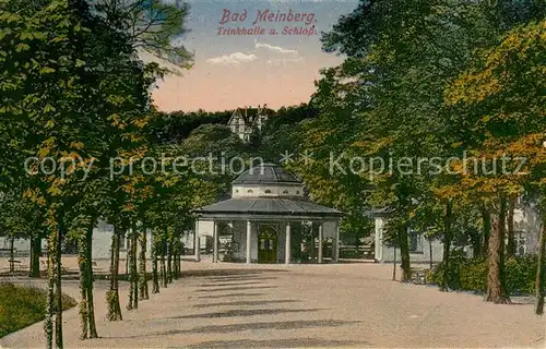 AK / Ansichtskarte Bad_Meinberg Trinkhalle und Schloss Bad_Meinberg