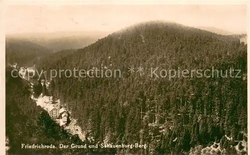 AK / Ansichtskarte Friedrichroda Der Grund und Schauenburg Berg Friedrichroda