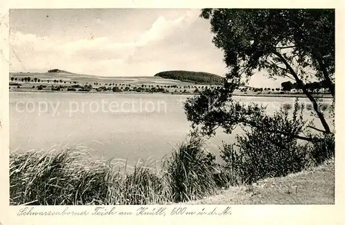 AK / Ansichtskarte Schwarzenborn_Knuell Teichpartie Schwarzenborn Knuell