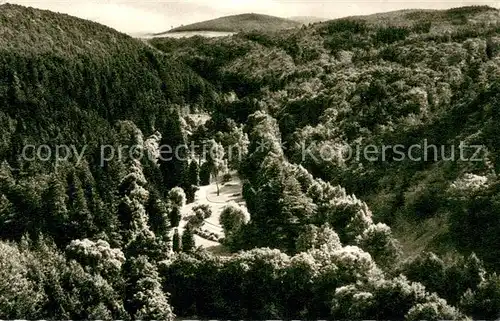 AK / Ansichtskarte Bad_Wildungen Helenental Bad_Wildungen