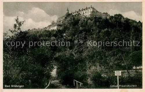 AK / Ansichtskarte Bad_Wildungen Schloss Friedrichstein Bad_Wildungen