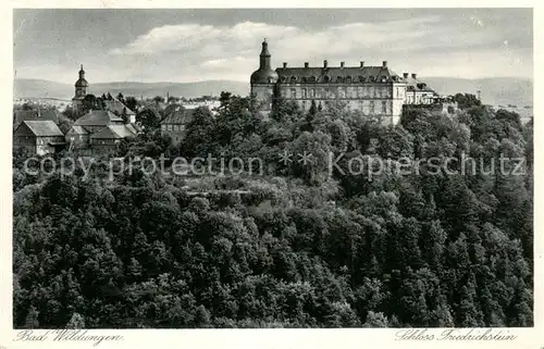 AK / Ansichtskarte Bad_Wildungen Schloss Friedrichstein Bad_Wildungen