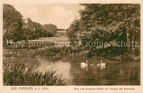 AK / Ansichtskarte Bad_Homburg Blick vom Kurgarten Weiher zur Terrasse des Kurhauses Schwaene Bad_Homburg