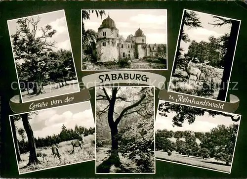 AK / Ansichtskarte Hofgeismar Die Sababurg im Reinhardswald Teilansichten Hofgeismar
