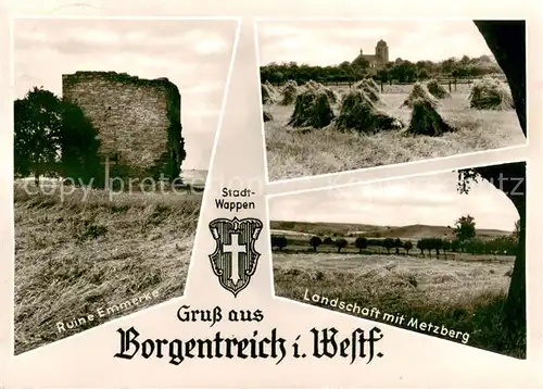 AK / Ansichtskarte Borgentreich Ruine Emmerke Landschaft mit Metzberg Borgentreich