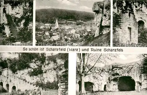 AK / Ansichtskarte Scharzfeld Ruine Scharzfels Details Panorama Scharzfeld