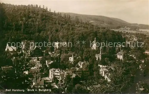AK / Ansichtskarte Bad_Harzburg Blick vom Burgberg Bad_Harzburg
