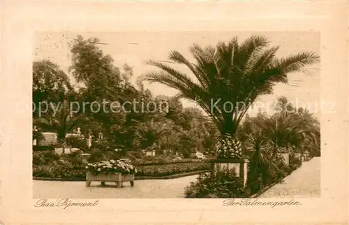 AK / Ansichtskarte Bad_Pyrmont Der Palmengarten Bad_Pyrmont