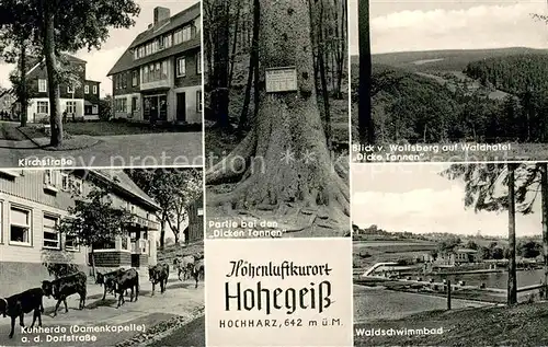 AK / Ansichtskarte Hohegeiss_Harz Kirchstrasse Kuhherde Damenkapelle Dorfstrasse Partie bei den Dicken Tannen Blick vom Wolfsberg auf Waldhotel Waldschwimmbad Hohegeiss Harz
