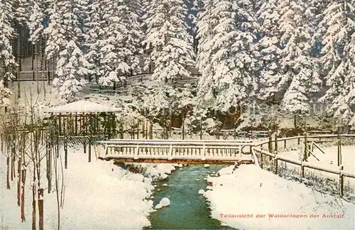 AK / Ansichtskarte Braunlage Dr Vogelsers Sanatorium Waldanlagen der Anstalt Braunlage