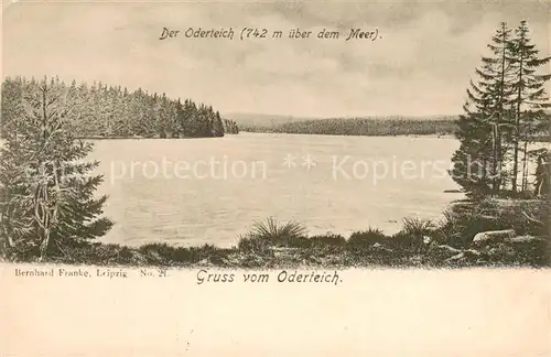 AK / Ansichtskarte Braunlage Der Oderteich Braunlage