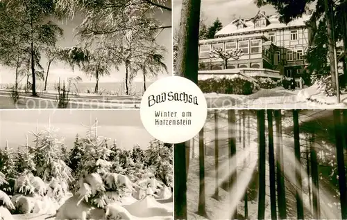 AK / Ansichtskarte Bad_Sachsa_Harz Winter am Katzenstein  Bad_Sachsa_Harz