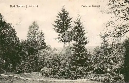 AK / Ansichtskarte Bad_Sachsa_Harz Kurparkpartie Bad_Sachsa_Harz