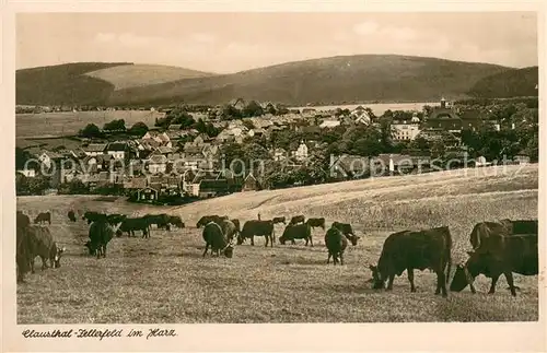 AK / Ansichtskarte Clausthal Zellerfeld Panorama Clausthal Zellerfeld