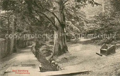 AK / Ansichtskarte Bad_Harzburg Philosophenweg Bad_Harzburg
