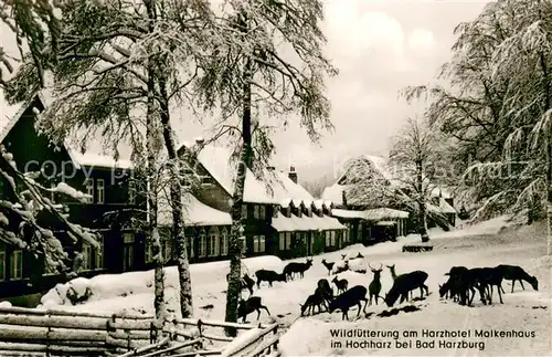 AK / Ansichtskarte Bad_Harzburg Wildfuetterung am Harzhotel Molkenhaus Bad_Harzburg