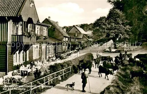 AK / Ansichtskarte Bad_Harzburg Harzhotel Molkenhaus Bad_Harzburg