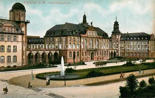AK / Ansichtskarte Frankfurt_Main Senkenbergianum Frankfurt Main